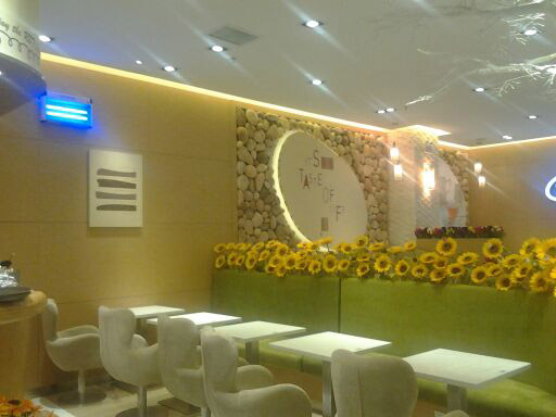 廣州91看片软件下载入口